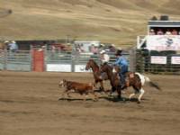 Tyler and Top Arrow at Writing on Stone Rodeo